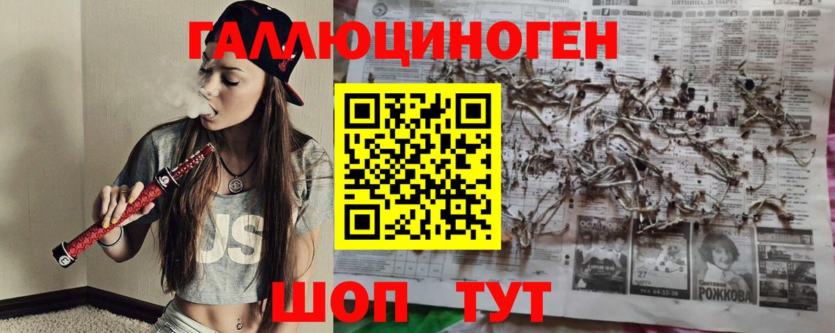Псилоцибиновые грибы мухоморы Кропоткин