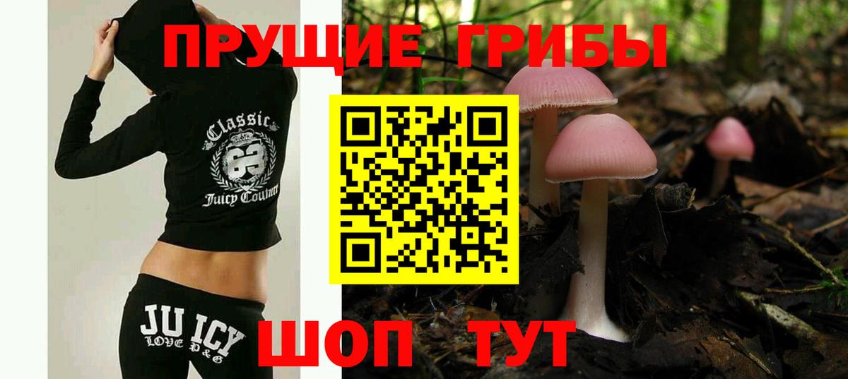 Псилоцибиновые грибы MAGIC MUSHROOMS  Вход с VPN  Кропоткин 